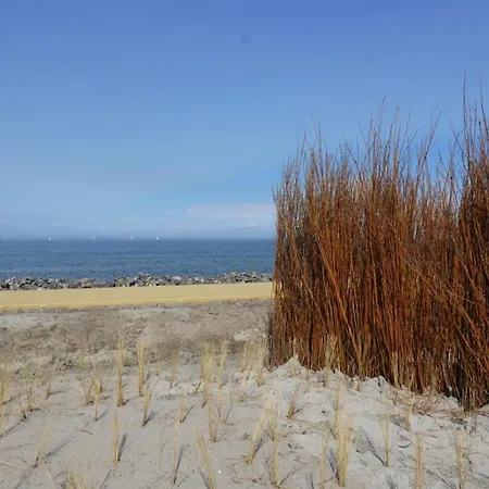 Tatil Evi Enkhuizer Beachhouse Strandgut Mit Zaun Nr 400 Enkhuizen